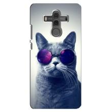Чехол с принтом для Huawei Mate 10 (AlphaPrint) Модные коты (Стильный кот)