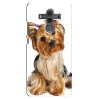 Чехол (ТПУ) Милые собачки для Huawei Mate 10 (Собака Терьер)