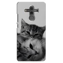 Чехол с рисунком кот на Huawei Mate 10 – Пара котов