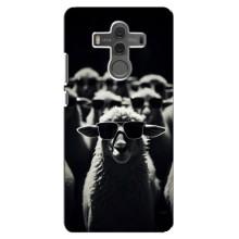 Чехол с принтом стильные животные для Хуавей Мэйт 10 (Овечка в очках)