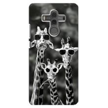 Силиконовый чехол с КАРТИНКАМИ лето для Huawei Mate 10 (AlphaPrint) (Жирафы в очках)