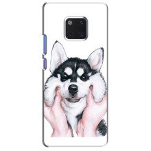 Чохол з Хаскі Huawei Mate 20 Pro, LYa-l09, LYA-L29 - (AlphaPrint)