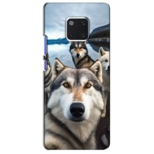 Чехол с Хаски для Huawei Mate 20 Pro, LYa-l09, LYA-L29 - (AlphaPrint) (Селфи ХАски)