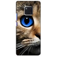 Чехлы с Котиками для Huawei Mate 20 Pro, LYa-l09, LYA-L29 (VPrint) (Глаз кота)