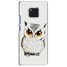 Чехол с птицами на Huawei Mate 20 Pro, LYa-l09, LYA-L29 (VPrint)