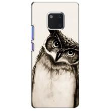 Чехол с птицами на Huawei Mate 20 Pro, LYa-l09, LYA-L29 (VPrint)