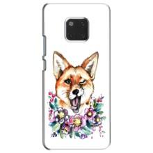 Чехлы с картинкой Лисички для Huawei Mate 20, HMA-L09, HMA-L29 (VPrint) (Веселая лисичка)
