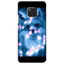Чехлы с картинкой Лисички для Huawei Mate 20, HMA-L09, HMA-L29 (VPrint) (Яркая лисичка)