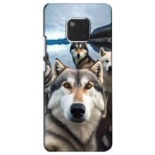 Чохол з Хаскі Huawei Mate 20, HMA-L09, HMA-L29 - (AlphaPrint) – Селфі Хаскі