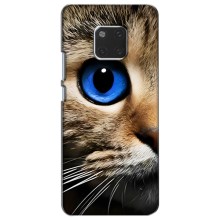 Чохли з Котиками для Huawei Mate 20, HMA-L09, HMA-L29 (VPrint) (Око кота)