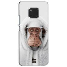 Чехлы с Обезьянами NFT для Huawei Mate 20, HMA-L09, HMA-L29 (AlphaPrint) (обезьяна NFT в тату)