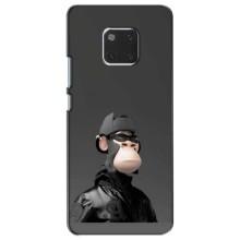 Чехлы с Обезьянами NFT для Huawei Mate 20, HMA-L09, HMA-L29 (AlphaPrint) (стильная обезьяна NFT)
