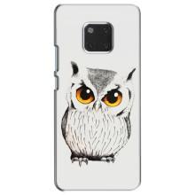 Чехол с птицами на Huawei Mate 20, HMA-L09, HMA-L29 (VPrint) (Милая Сова)