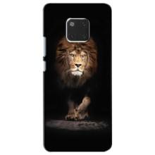 Чехол со Львом для Huawei Mate 20, HMA-L09, HMA-L29 (VPrint) (Лев)