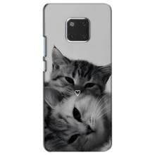 Чохол з малюнком кіт на Huawei Mate 20, HMA-L09, HMA-L29 – Пара котів