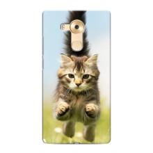 Чохли з Котиками для Huawei Mate 8, NXT (VPrint) (Прижок кота)