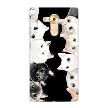 Чохол на Хуавей Мейт 8 з Котиками (VPrint) (Погляд котиків)