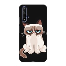 Чехол с принтом для Huawei Nova 5T (AlphaPrint) Модные коты – Грустный кот