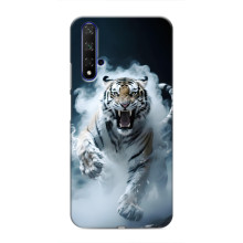 Чохол з картинкою 'Хижаки' для Huawei Nova 5T (Тигр)
