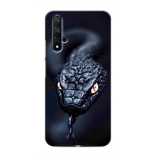 Чохол з картинкою 'Хижаки' для Huawei Nova 5T (Змія)