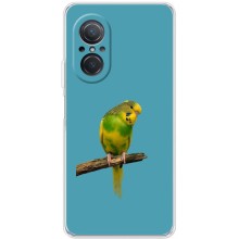 Силиконовый чехол с птичкой на Huawei Nova 9 SE – Попугайчик