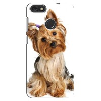 Чехол (ТПУ) Милые собачки для Huawei Nova Lite 2017, Y6 Pro 2017, SLA-L22, P9 Lite mini (Собака Терьер)