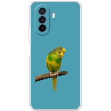 Силиконовый чехол с птичкой на Huawei Nova Y70 – Попугайчик