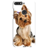 Чехол (ТПУ) Милые собачки для Huawei Nova 2 Lite – Собака Терьер
