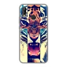 Чехлы с изображением разных животных для Huawei P Smart 2019 (Яркий Тигр)