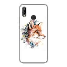 Чохли з картинкою Лисичка для Huawei P Smart 2019 (VPrint) (Лиса в квітах)