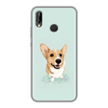 Чохли з собаками для Huawei P Smart 2019 (VPrint) – Коргі