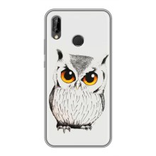 Чехол с птицами на Huawei P Smart 2019 (VPrint) – Милая Сова