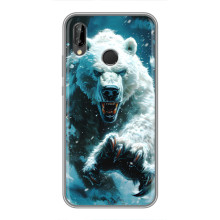 Чехол с картинкой «Хищники» для Huawei P Smart 2019 – Медведь