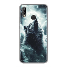 Чохол з картинкою 'Хижаки' для Huawei P Smart 2019