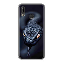 Чехол с картинкой «Хищники» для Huawei P Smart 2019 – Змея