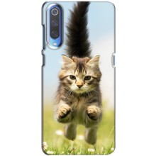 Чехлы с Котиками для Huawei P Smart 2020 (VPrint) (Прыжок кота)