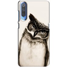 Чехол с птицами на Huawei P Smart 2020 (VPrint) (Сова)