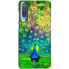 Чехол с птицами на Huawei P Smart 2020 (VPrint) (Яркий Павлин)