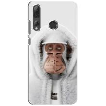 Чехлы с Обезьянами NFT для Huawei P Smart Plus 2019 (AlphaPrint) (обезьяна NFT в тату)