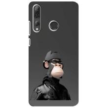 Чехлы с Обезьянами NFT для Huawei P Smart Plus 2019 (AlphaPrint) (стильная обезьяна NFT)
