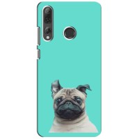 Бампер для Huawei P Smart Plus 2019 с картинкой "Песики" – Собака Мопс