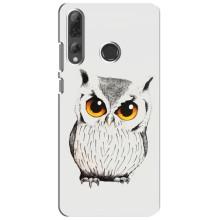Чехол с птицами на Huawei P Smart Plus 2019 (VPrint) (Милая Сова)
