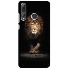 Чехол со Львом для Huawei P Smart Plus 2019 (VPrint) (Лев)