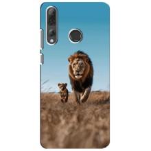 Чохол Король лев на Хуавей Р Смарт Плюс 2019 – Мусафа і Сімба