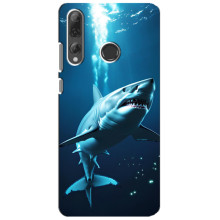 Чохол з картинкою 'Хижаки' для Huawei P Smart Plus 2019 – Акула