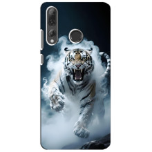 Чохол з картинкою 'Хижаки' для Huawei P Smart Plus 2019 – Тигр