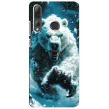 Чохол з картинкою 'Хижаки' для Huawei P Smart Plus 2019 – Ведмідь