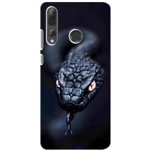 Чохол з картинкою 'Хижаки' для Huawei P Smart Plus 2019 – Змія
