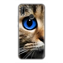 Чехлы с Котиками для Huawei P Smart Plus , Nova 3i, INE-LX1 (VPrint) (Глаз кота)