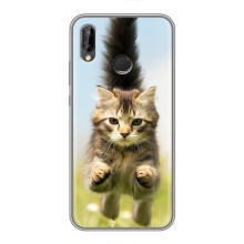 Чехлы с Котиками для Huawei P Smart Plus , Nova 3i, INE-LX1 (VPrint) (Прыжок кота)